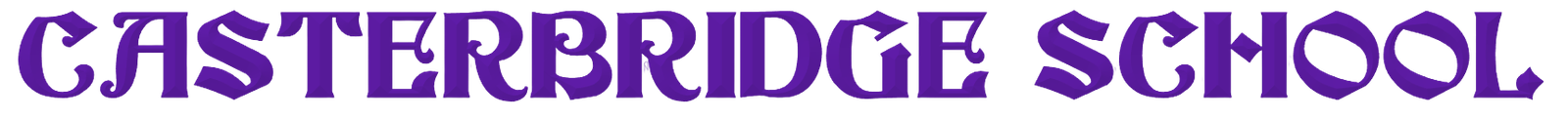 Caster Bridgeschool name